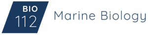BIO-112 Marine Biology